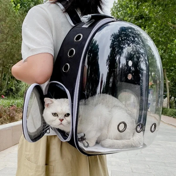 Sac de Transport pour animaux de compagnie