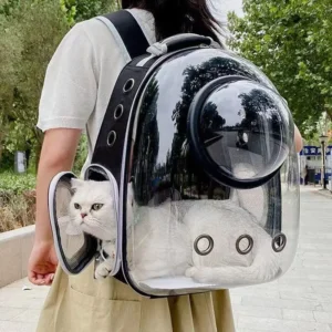 Sac de Transport pour animaux de compagnie
